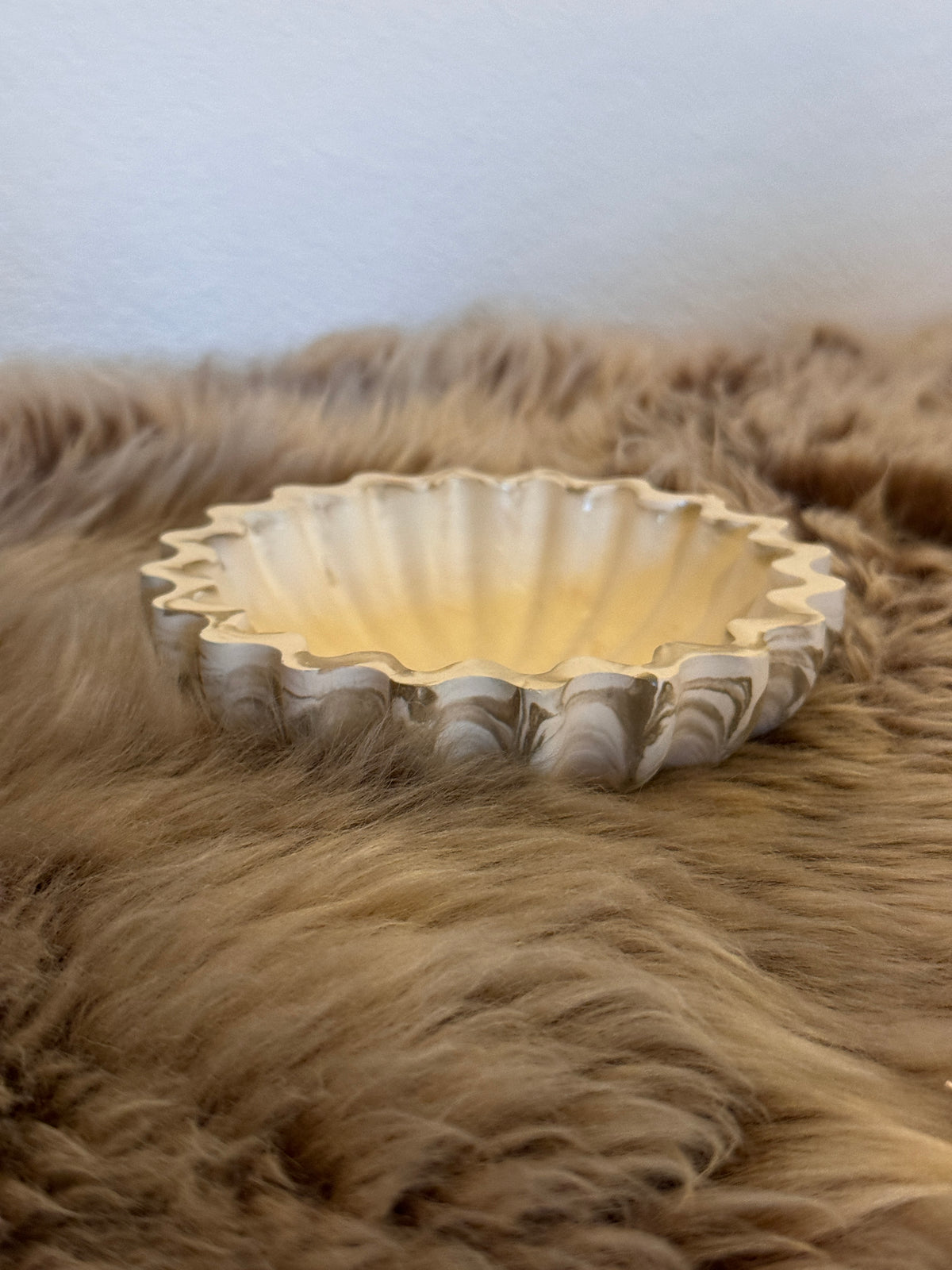The Solstice Scallop Schale